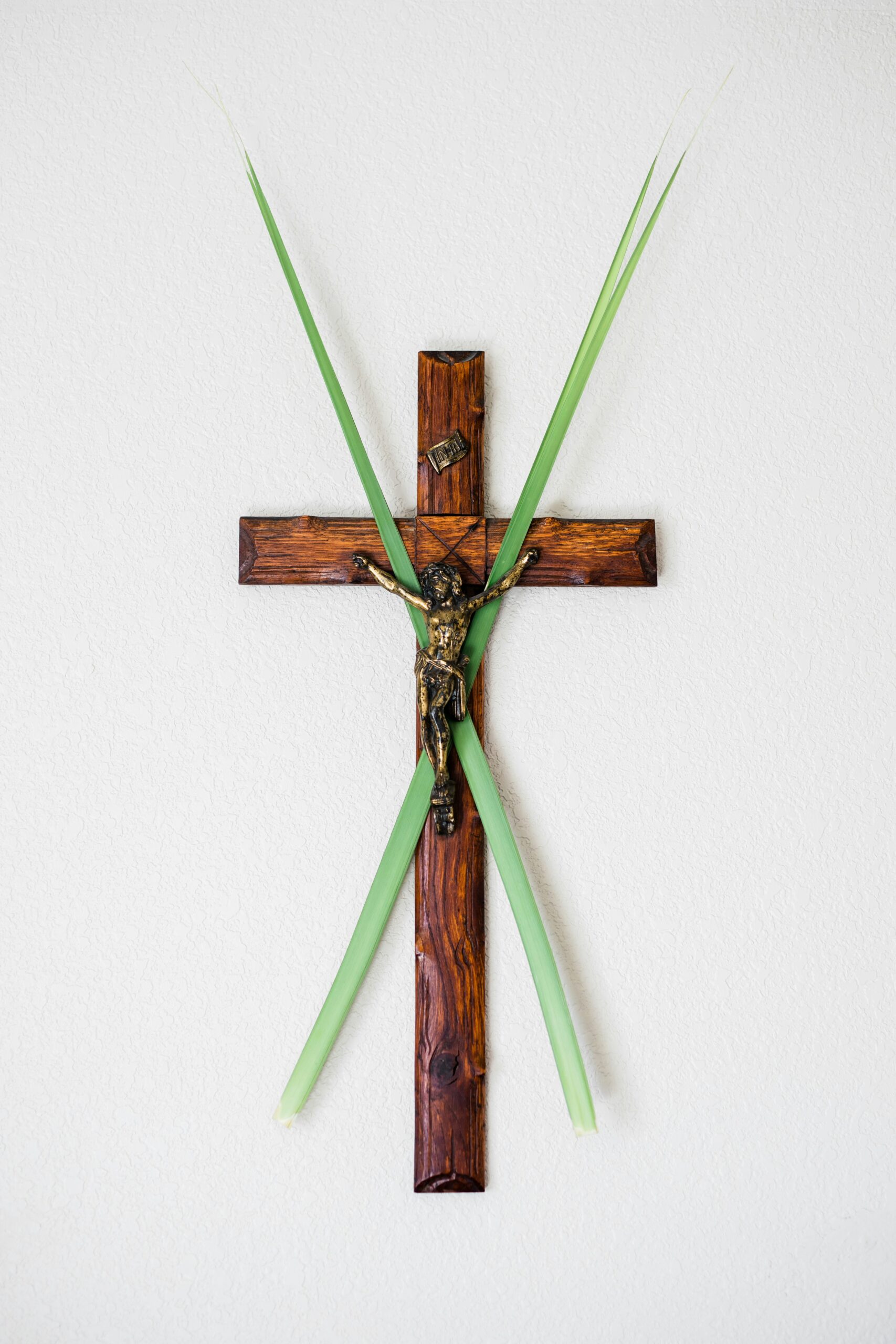 No Turning Back: Lessons from Palm Sunday